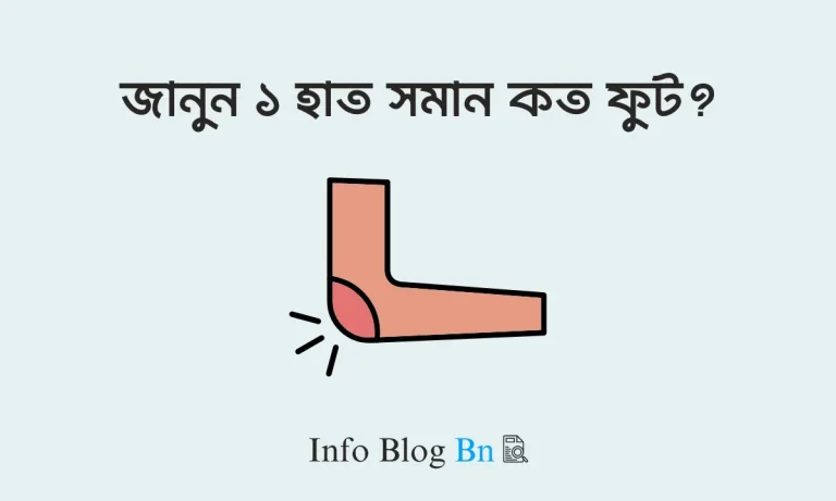 ১ হাত সমান কত ফুট