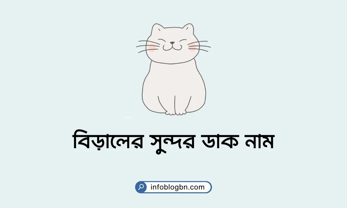 বিড়ালের সুন্দর ডাক নাম